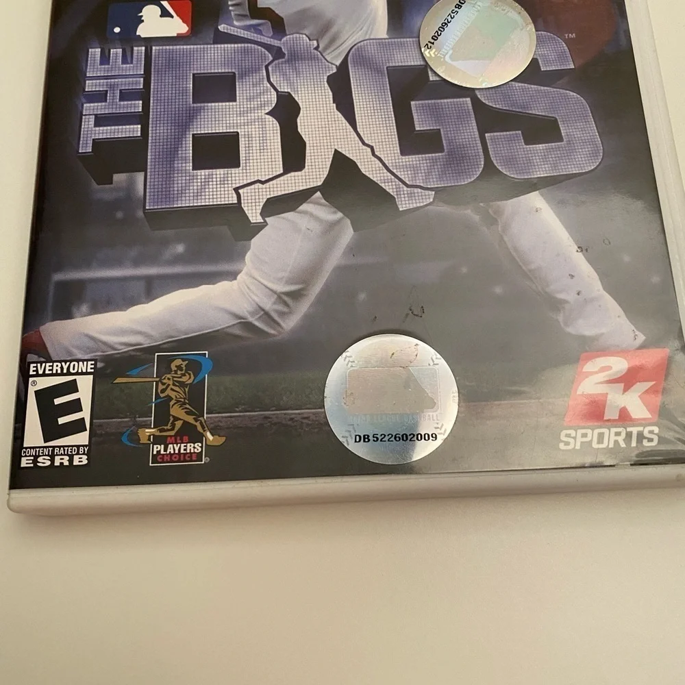 Wii The Bigs baseball game